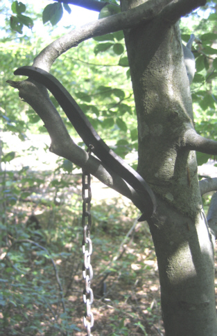 WolfWolfsjagdWolfsangelWolfseisenWolfsgrubeLuder